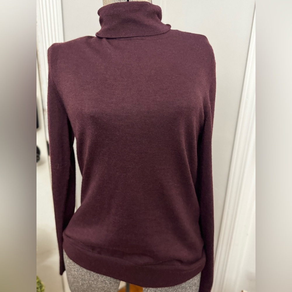 Express Wine Turtleneck Merino Wool Sweater size Small